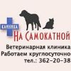 Ветеринарная клиника, Москва - Ветклиника на Самокатной "Юниор ЛДЦ"
