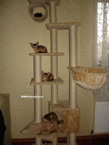 Домик для кошек Трикси (новый)