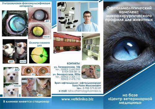 Ветеринар-офтальмолог Ростов-на-Дону