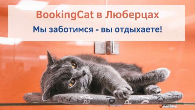 Передержка для животных BookingCat Люберцы