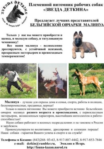 малинуа:щенки и взрослые собаки для службы и разведения