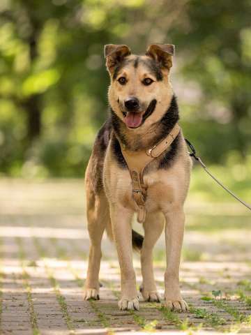 Барри ищет своего человека! Барри ищет своего человека!