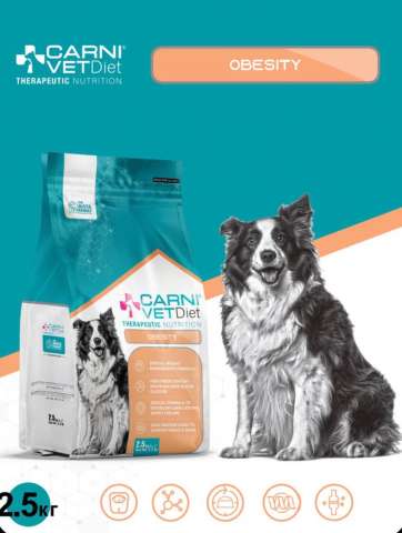 Корм для собак сухой CARNI VET Diet Obesity При избыточном весе, 2.5кг Корм для собак сухой CARNI VET Diet Obesity При избыточном весе, 2.5кг