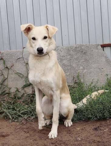 Рик ищет дом! Рик ищет дом!