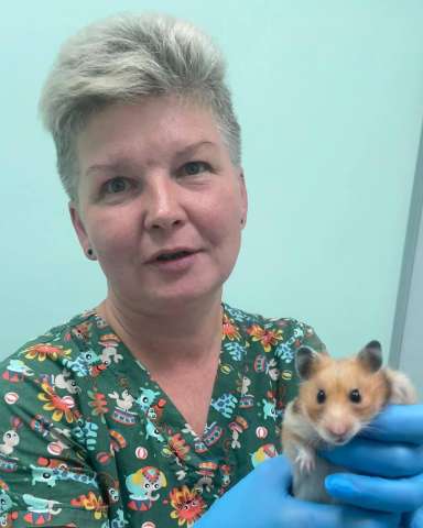 Ветеринарный врач ратолог в Ясенево.