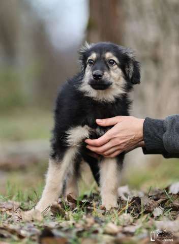 Малышка Юста ищет своих добрых людей.