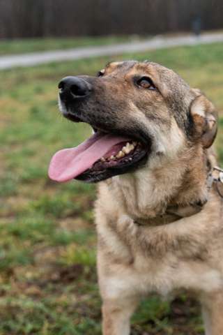 Нежная Дарина