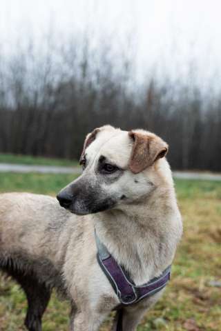 Хрупкая Вэнди