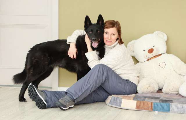 Мечтаете о черной овчарке?