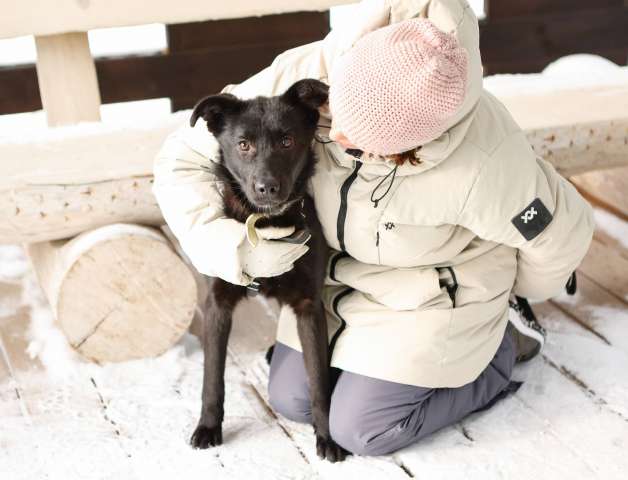 Черный щенок Асти в дар