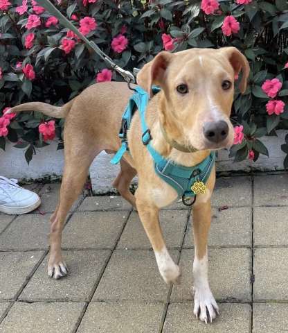 Солнечный парень Вилли в поисках родителей