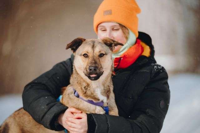 Сади, собака-подросток, которая не умеет любить вполсилы