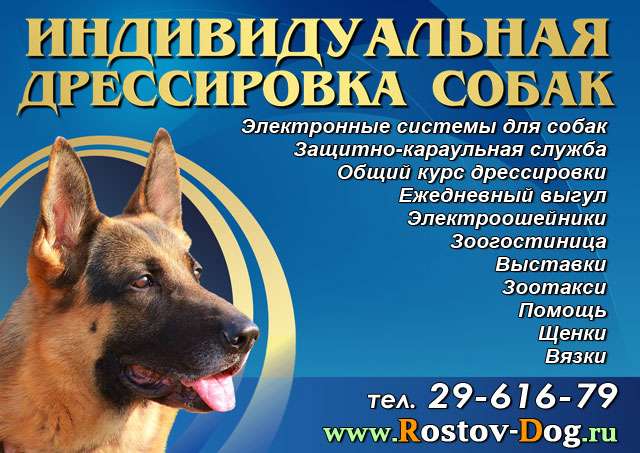 Дрессировка собак, гостиница для животных, электронные ошейники, сухой корм для собак в Ростове