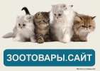  tel89080130314@yandex.ru Интернет магазин товаров для животных Зоотовары.сайт
