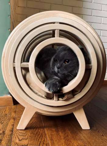 Интерьерный домик для кошек "Оскар"