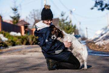 Белый метис спаниеля и папильона Стивен в добрые руки