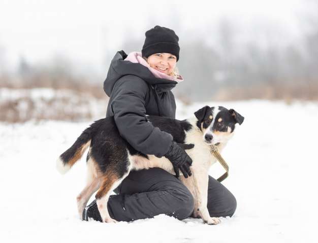 Спокойный и послушный пёс Локи ищет дом