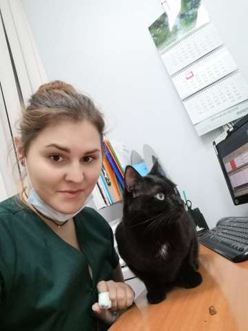 Ветврач дерматолог в Ясенево. Ветврач дерматолог в Ясенево.