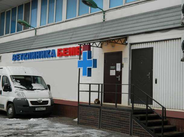 Ветеринарная клиника в Чертаново. Ветеринарная клиника в Чертаново.