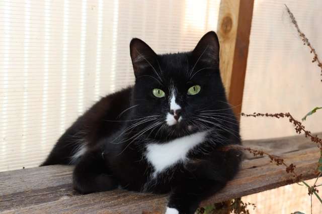 Привет! Я, Бася. Привет! Я, Бася.