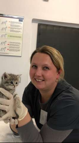 Ветврач ратолог, стоматолог на Каховке.