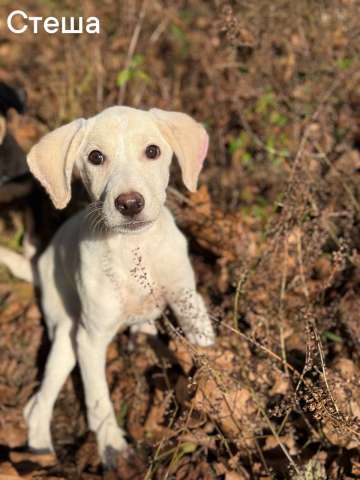 Сестры по несчастью, которые заслужили шанс на любовь Сестры по несчастью, которые заслужили шанс на любовь