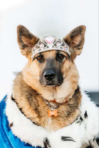 Заметьте Тиночку!