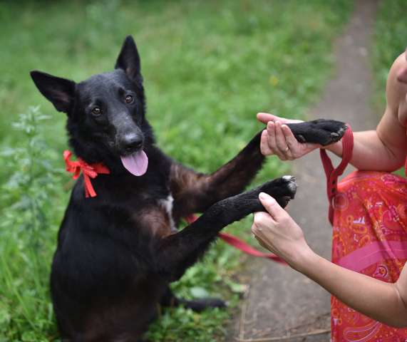 Рия, ищет дом